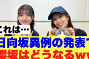 【3月16日の人気記事10選】 これは日向坂46異例の発表で櫻坂はどうなる…？… ほか【乃木坂・櫻坂・日向坂】