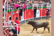 スペインで闘牛がフェンスを軽やかに飛び越えて観客席に飛び込み19人が重軽傷。