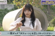 【gifあり】岡本姫奈に問題『一発ギャグ「ガチョーン」を正しくやってください』→激カワすぎるwww【乃木坂46】
