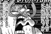 【ONEPIECE -ワンピース】尾田くん「もうすぐ１０００話か…調整しなきゃ(使命感)」←これｗｗｗｗｗ