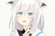 Vtuber 【白上フブキ】ぺこらについて意味深なツイートｗｗｗこれはきれいに張り手が決まったかｗｗｗ？