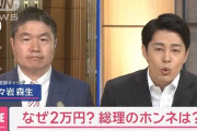 石破自民党がなぜ「働いてる人に２万円　働いていない人に４万円配るのか」理由がこれらしい