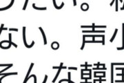 【悲報】韓国に移住した女さん、後悔してしまう・・・・・・・・・