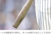 【MLB】ヤンキースの魚雷バットって
