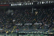 阪神ーヤクルト　甲子園球場は5回終了後雨のため一時中断