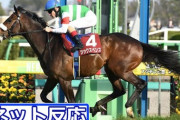 【YouTube競馬】大阪杯1番人気シックスペンス←危険すぎワロタ【不安要素一覧】