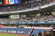 侍ジャパン小園＆坂倉の打席でスクワット応援！12球団連合軍が京セラドームで団結