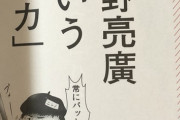【画像】やしろあずきが挿絵を提供した地獄のような本、発見されるｗｗｗｗｗｗ