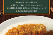 【朗報】松屋のカレー屋さん、550円でカツカレーが食える
