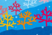 【生物】研究者「薄暗い海に生息するサンゴが光るのはなぜなのか？」 → 調べてみた結果