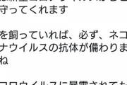 【悲報】なんj民さん、また気圧されてしまう