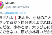 【悲報】巨人小林ファン、イライラのあまりついに一線を超えてしまう