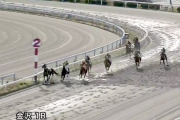地方競馬あるある