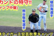 【朗報】阪神タイガース、セカンド以外欠点がない