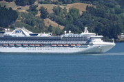 「第4のプリンセス」に新型コロナ感染者か？NZが乗員乗客の下船拒否（海外の反応）