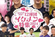プロ野球aiとかいう野球そっちのけでイケメン選手の特集ばかりしてる野球雑誌wwww