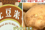 【中国】“ジャガイモ米”開発　米高騰の救世主となるか　1kg700円で割高も…SNS「1度は食べてみたい」