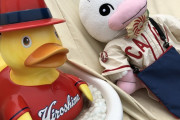 【広島】中国新聞の『ちゅーピー』ハトだった！ちなC「アヒルだと思ってた」