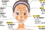 「ニキビの位置で体の不調がわかる」　→　その図がマジでヤバすぎるｗｗｗｗｗ