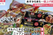 【悲報】日本さん、賃上げが追いつかないのに物価が上昇する地獄に突入してしまう