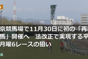 東京競馬場で11月30日に初の「再編競馬」開催へ　法改正で実現する平日月曜6レースの狙い