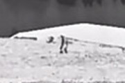 【動画】 鮮明な「ビッグフット」の姿が激撮され全米震撼　州政府公認で「パターソン・フィルム」超え
