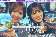 こんなスケジュールカオスな日に樋口日奈、和田まあや 乃木坂配信中『ラスト企画！2人でテラリウム作ってみた♪』動画公開wwwwww