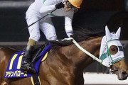 【全日本2歳優駿 アランバローズ優勝】地方馬が中央馬を凌駕する時代がやってきた！