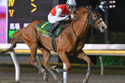 かしわ記念馬ショウナンナデシコ、帝王賞には向かわず牝馬限定Jpn3スパーキングレディーCへ