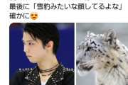 羽生さん、動物に例えるなら絶対、雪豹