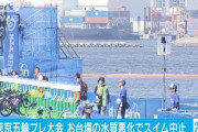 【速報】パラトライアスロンW杯、お台場の水質悪化でスイムを中止　基準値上限2倍超えの大腸菌　東京五輪どーすんの...(´・ω・｀)
