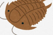 研究者「最新の研究の結果、三葉虫は貝や死んだ生物などなんでも食べていた」 ← じゃあなんで絶滅したの？