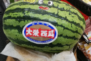 【画像】近所のスーパーで巨大スイカが売ってたｗｗｗｗｗｗｗｗｗｗｗｗｗｗｗｗｗｗｗｗｗｗｗｗｗｗｗｗｗｗｗｗ