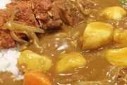 【悲報】「カレーにジャガイモを入れる派」の頭のおかしさは異常、品もないし、食べにくいだろ