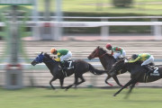 【競馬】京都１Ｒと京都３Ｒで本物の馬主情報コロガシ