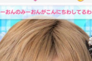 岡田奈々さん「ゆいゆいのゆいゆいがぁぁぁ」