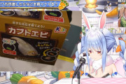 【ホロライブ】ぺこちゃん、1万円企画です【トワ様＆ねねち】