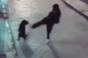 「フレンドリーな犬をキックしようとする男が、しっぺ返しを食らっていた…」胸のすく映像