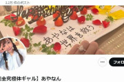 【悲報】あやなん「収入はほぼない、普通の暮らしがしたかっただけ」