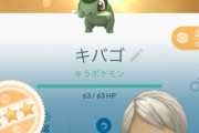 【ポケモンGO】ポケGOリリース時からやっているのに未だにキバゴ持ってない・・・