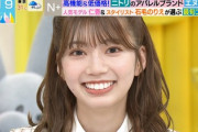 【日向坂46】おたけ「お値段以上だと思います！」パワープレイからのドアップを決めるw【ラヴィット】