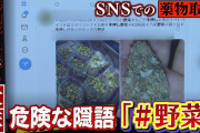 【この国終了】大麻で摘発された高校生と大学生の数、過去最多に・・・?