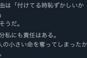 【感動】まんさん、赤ちゃん3人堕して命の尊さを知る