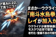 【速報】ウクライナ軍に南斗水鳥拳のレイが加入か　映像あり