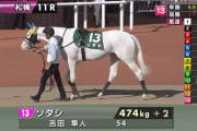 【札幌2歳S】白毛馬のソダシがｷﾀ━━━━(ﾟ∀ﾟ)━━━━!!