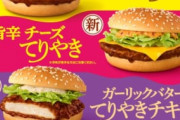 【速報】マクドナルドの新作てりやき、かなり美味そう