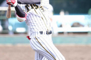 金村義明の眼 阪神・中野拓夢はド６とは思えない掘り出しモノ