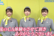日向坂46とソラシドエアのタイアップ企画、尺の都合上1分しか放送されずwwww【日向坂で会いましょう】