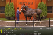 【セレクトセール2022】ミカリーニョの2022(父サートゥルナーリア)2億2千万円で落札
