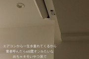 女の子「エアコン業者呼んだら68歳オジみたいなめちゃキモいやつ来てピンポン無視した」